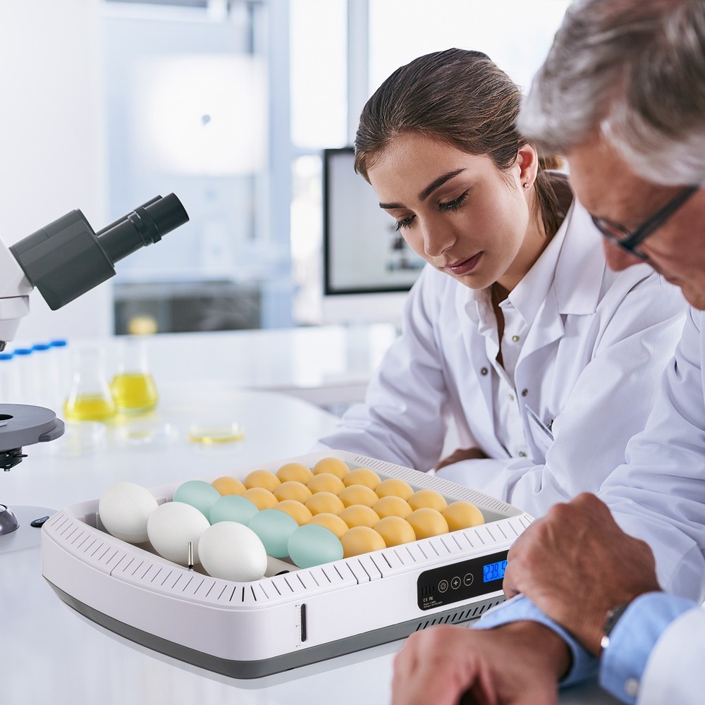 US 35 Egg Incubator with Automatic Egg Turning, Temperature and Humidity Control