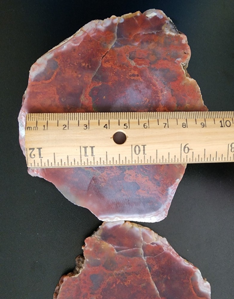 Moss agate Lapidary rough and slab Maury Mountain