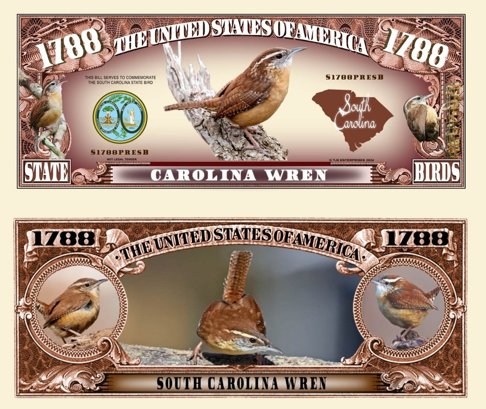 OUR SOUTH CAROLINA WREN NOVELTY NOTES (25 EA)