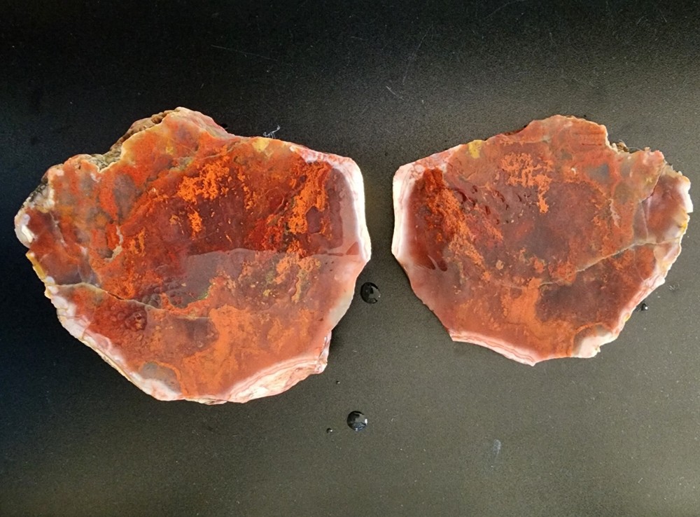 Moss agate Lapidary rough and slab Maury Mountain