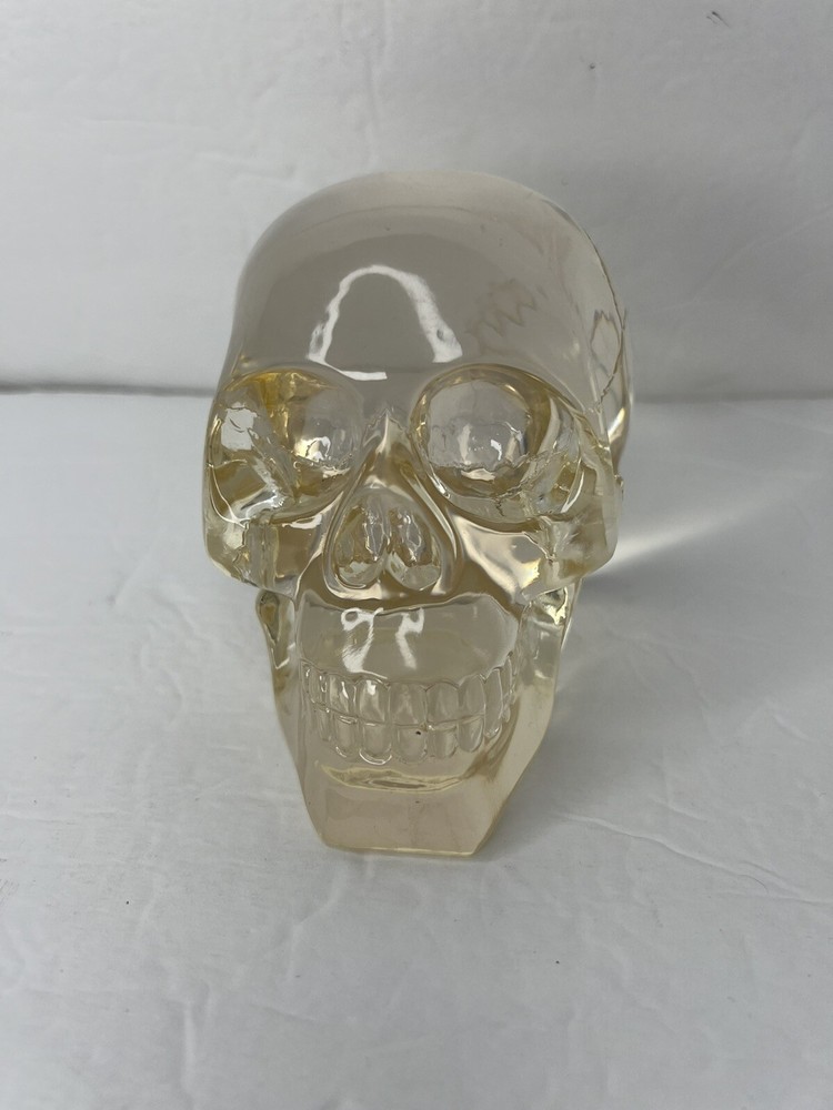 Summit Collection - Clear Skull Figure - Paperweight/Decor - Used