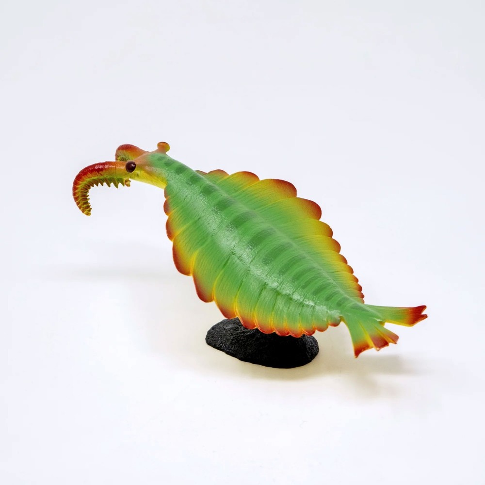 Anomalocaris Soft Model Figure Cambrian Creatures Favorite New