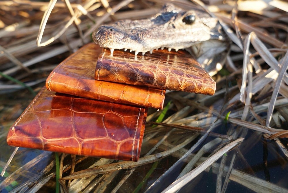 Alligator Wallet, Brand New Multiple Colors ￼