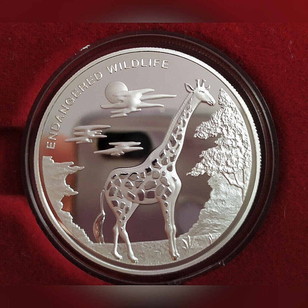 Congo 10 franc GIRAFFE 2007 silver
