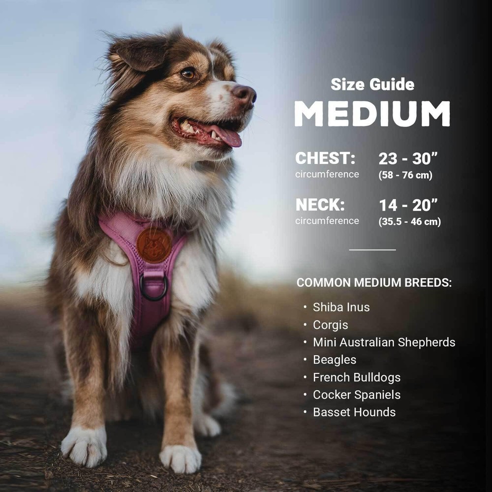 Lightweight Dog Harness with Reflective Straps - Medium - Olive