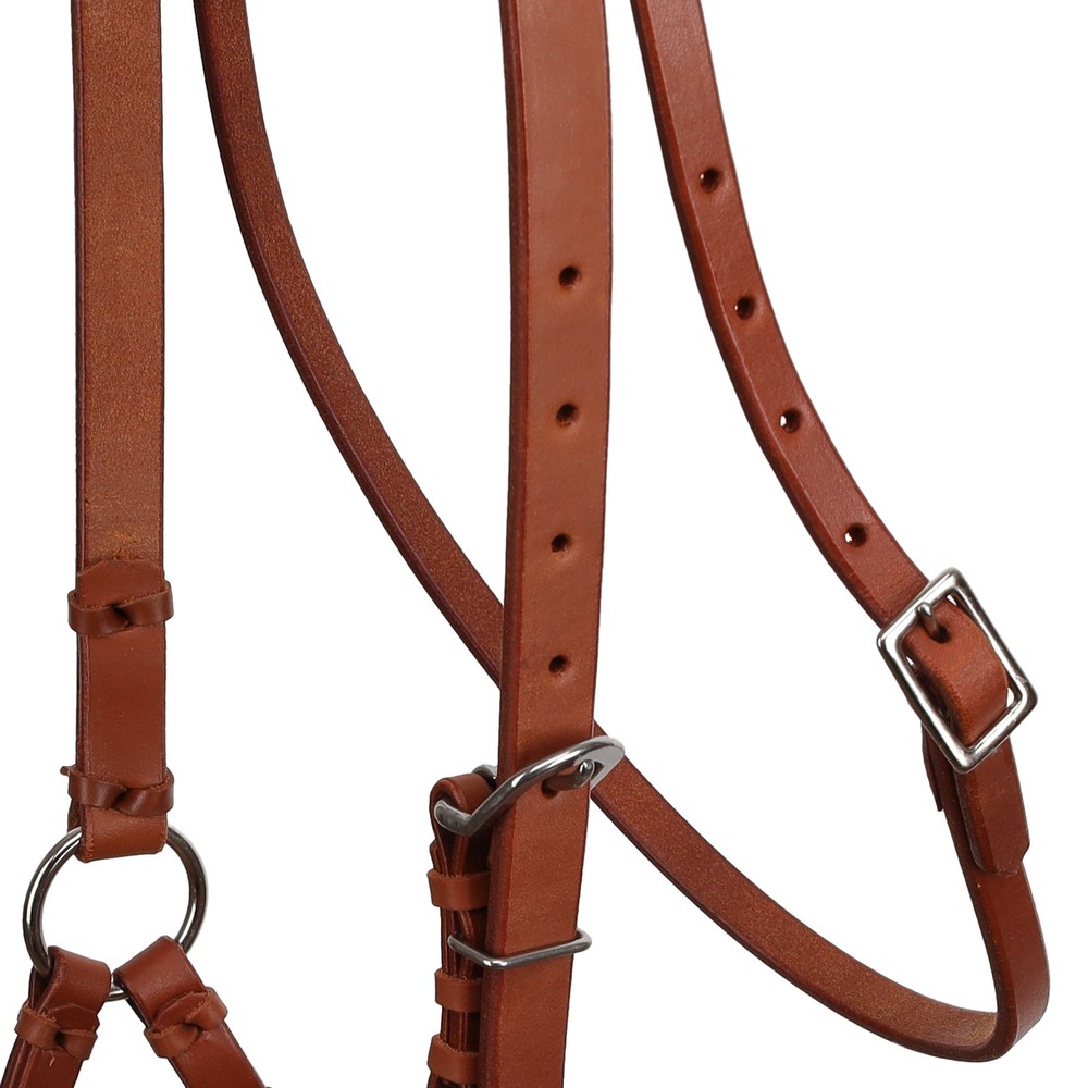 Showman Argentina Cow Leather Side Pull w/ Rolled Leather Nose