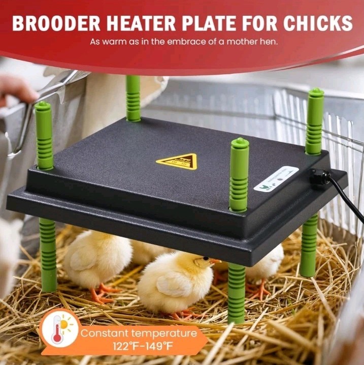 Chicken Brooder Box for Chick Starter Kit - 10 * 12inch Brooder Heating Plate...