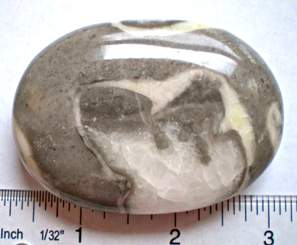 Shell Jasper Large Palm Stone sc684r