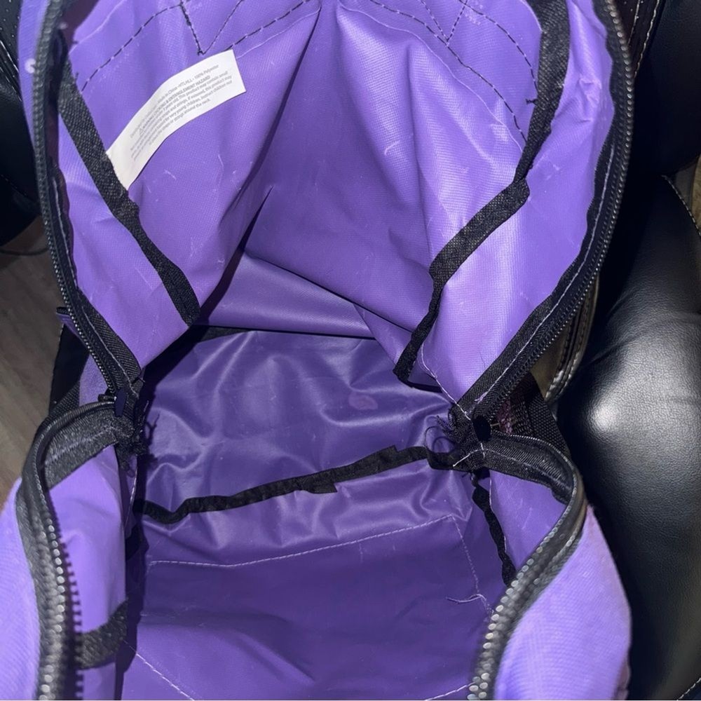 BigBox Nylon Purple Backpack 17 in