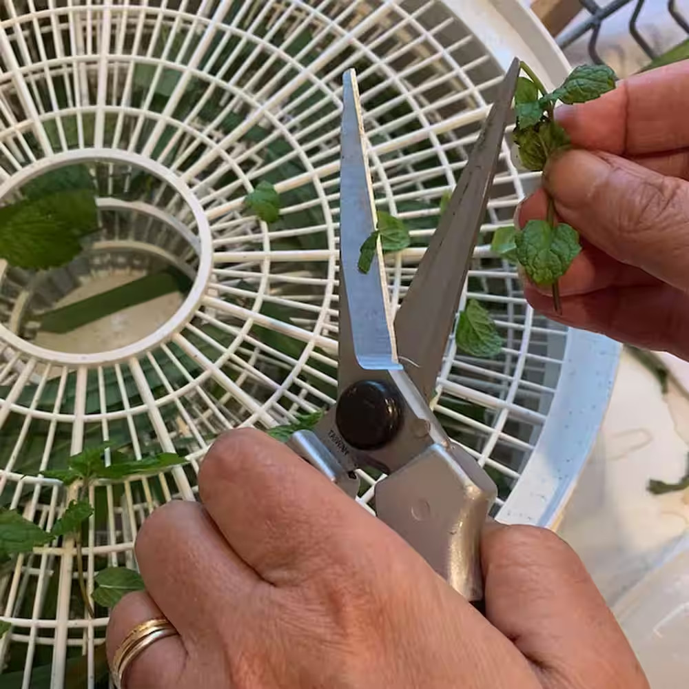 3.5 Inch Pruning Shears Garden Scissors