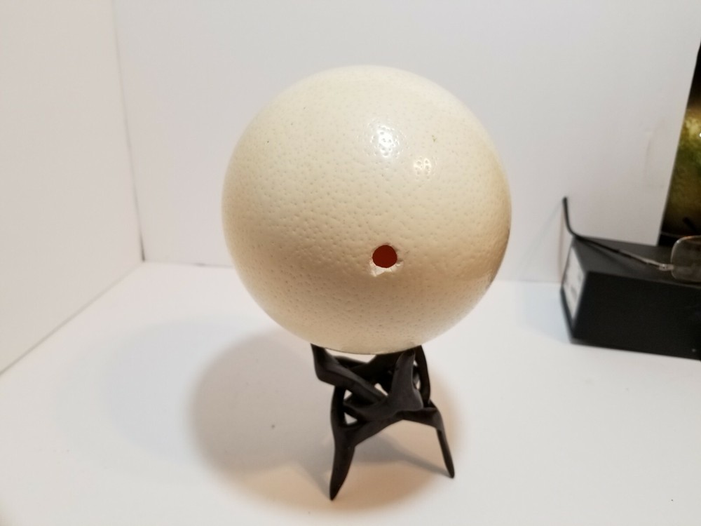 Domestic Ostrich Egg Stand Not Included