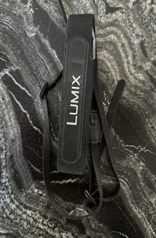 Panasonic Lumix DMC-FZ100 Accessory Lot
