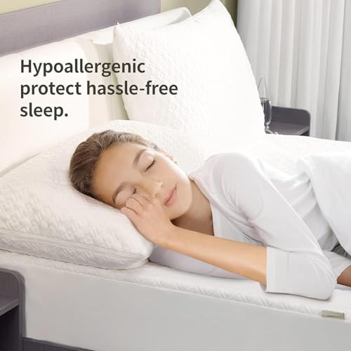 Pillow Protector (Pack) Queen – Waterproof Zippered Pillow Queen - 20" × 30" 2