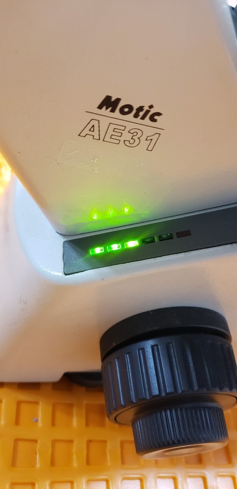 Motic AE31 Series Inverted Microscope with 3 Objectives