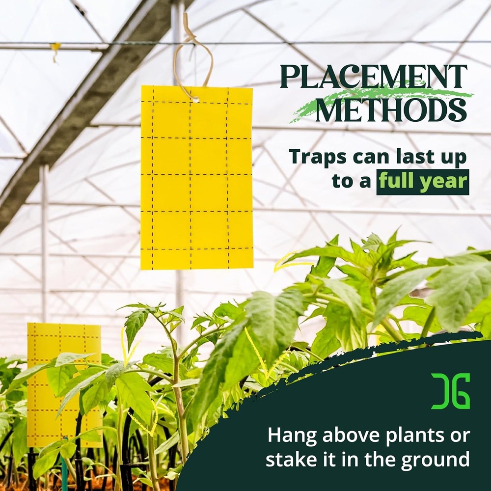 Catchmaster GRO Yellow Regular Double Sided Sticky Traps