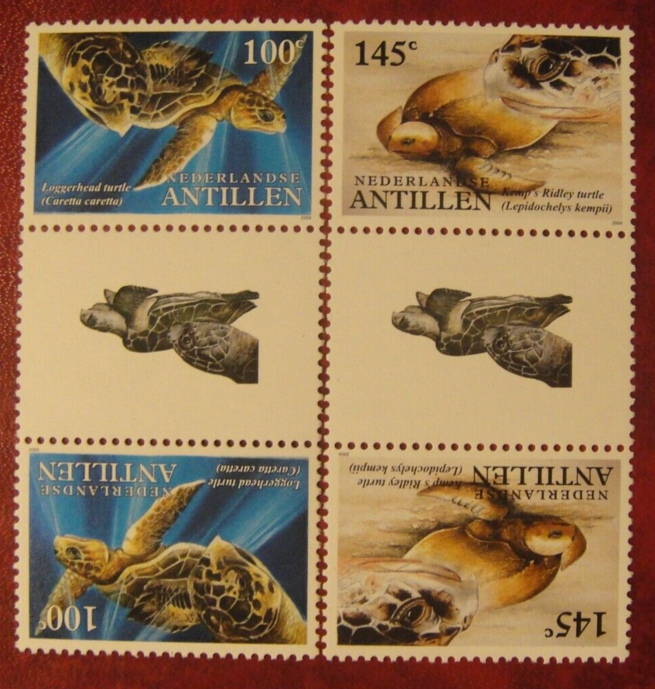 Netherlandse Antilles 2004. Turtles. Pairs Mint Unhinged.