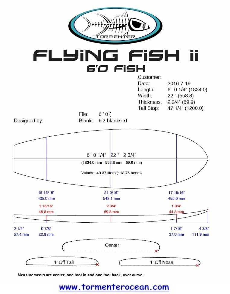 New Tormenter 6'0 Fish Surfboard (three available)