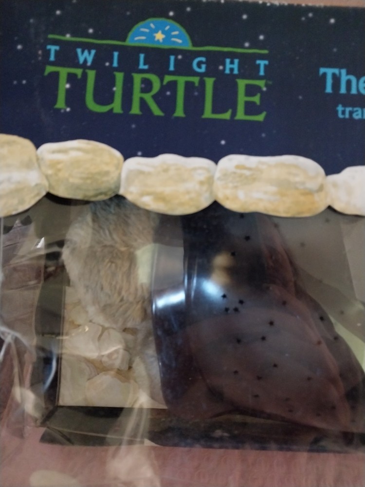 Vintage Twilight Turtle Constellation Night Light 2005 Sensory Light
