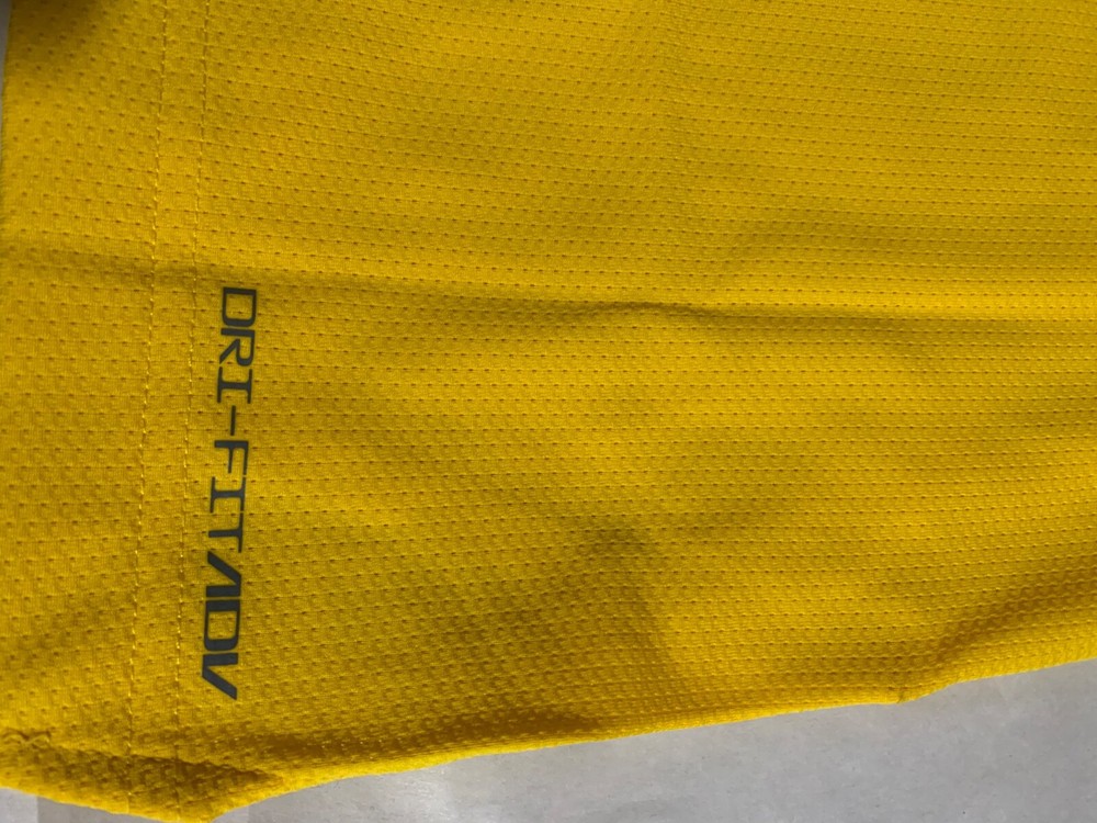Nike Authentic Anthony Davis 2023/24 Icon Jersey W/Bibigo Patch - 44 (Medium)