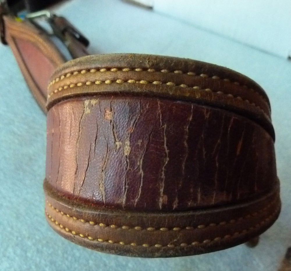 Partial Cattle Show Halter