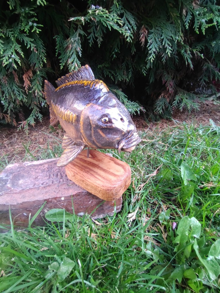 Carp Fishing, linear Carp Display, statue