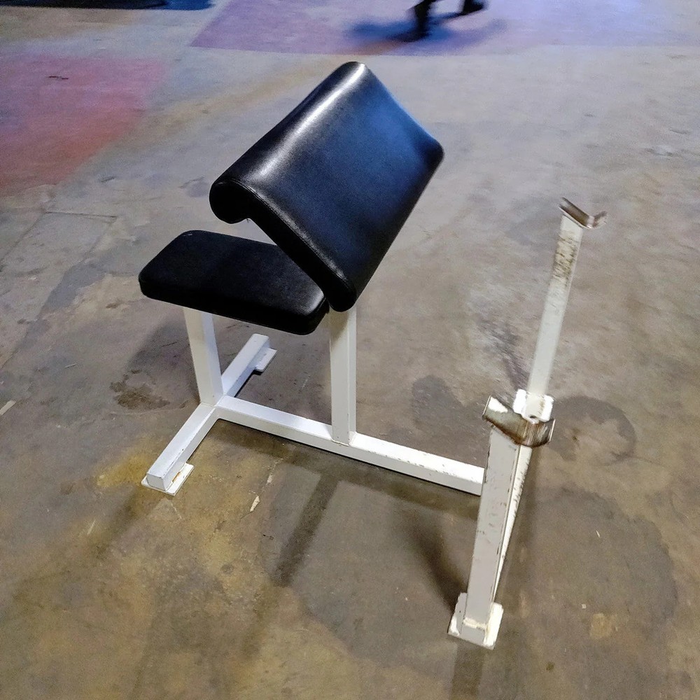 Preacher Curl Bench