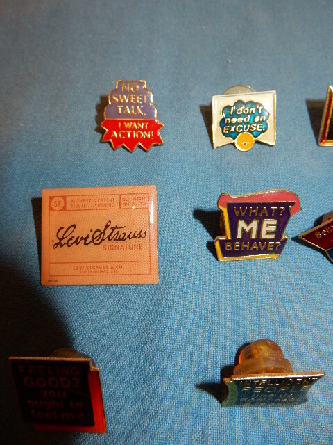 19 Brooch Pins
