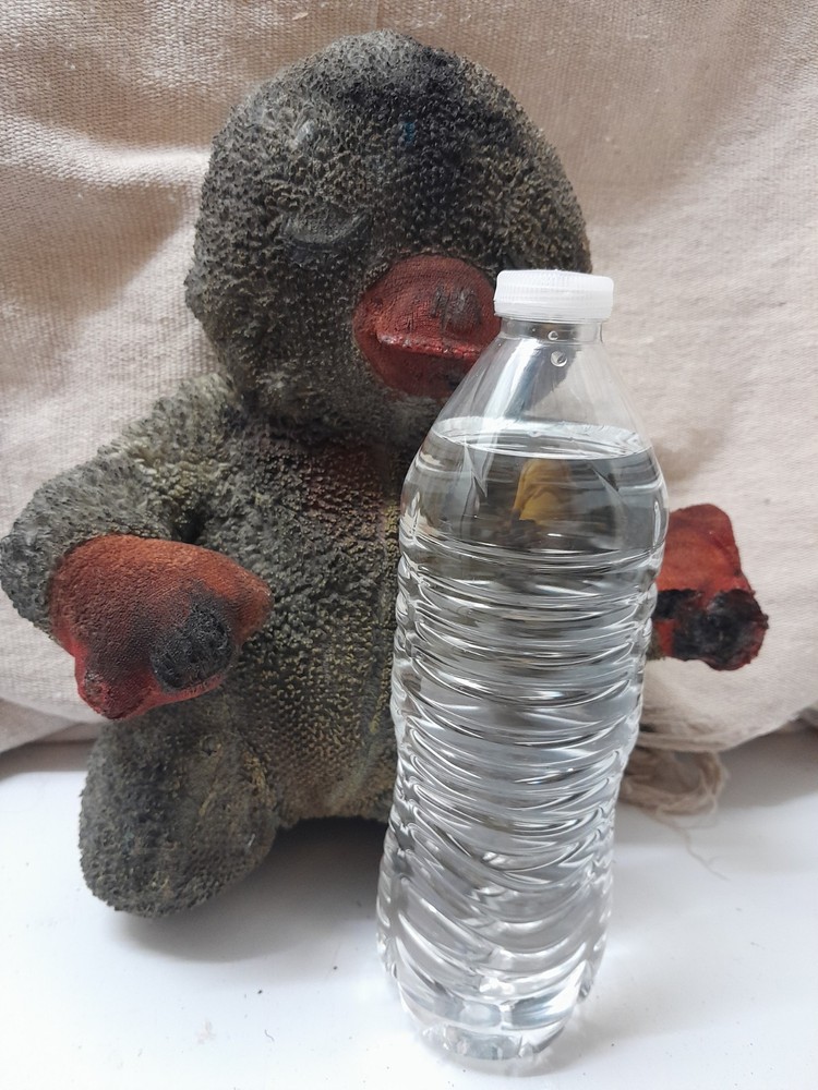 Ducky / Haunted Doll / READ DESCRIPTION