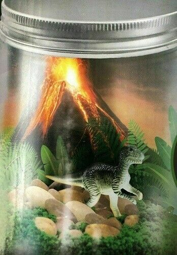 Create Your Own Dinosaur Terrarium Kit - Kids Science Learning Craft Project NEW