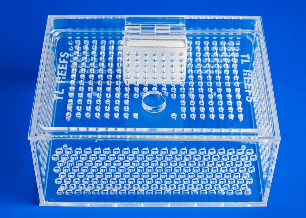 TL Reefs Mushroom Coral Acclimation Box