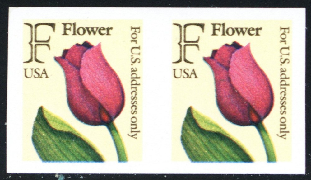 2518a, Mint VF NH 29¢ - Imperforate Coil Pair Error * Stuart Katz