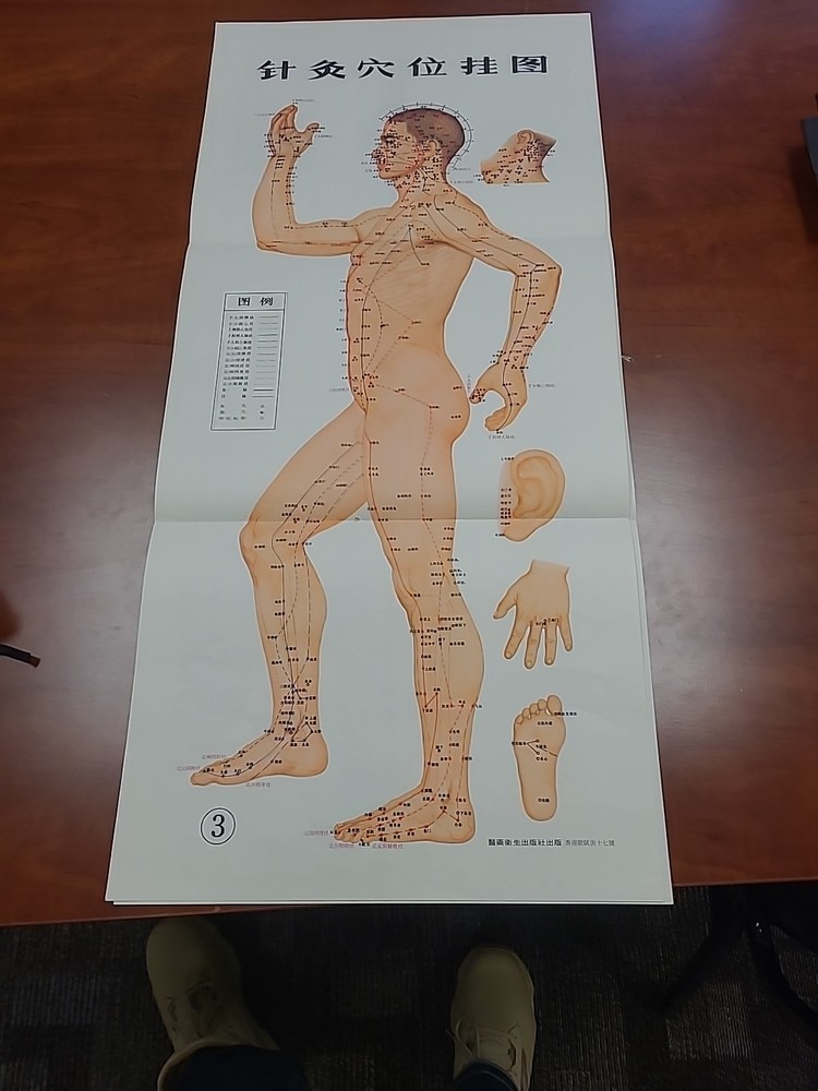Chinese Acupuncture Point Chart
