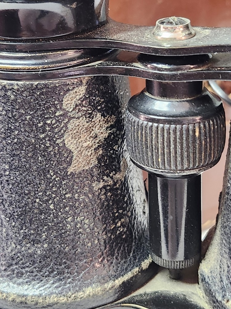 Antique Binoculars with Original Case