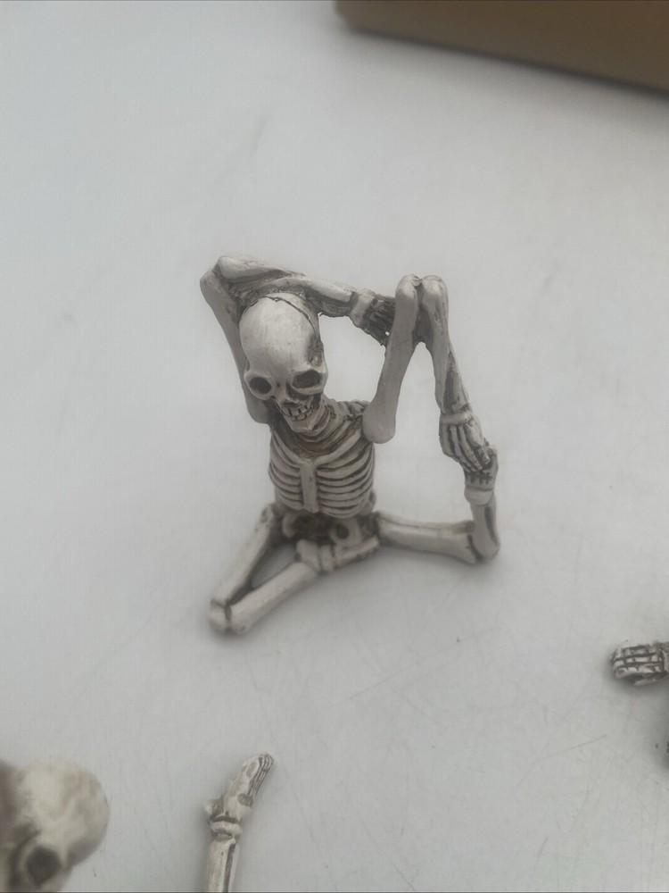 Yoga Posed Skeletons