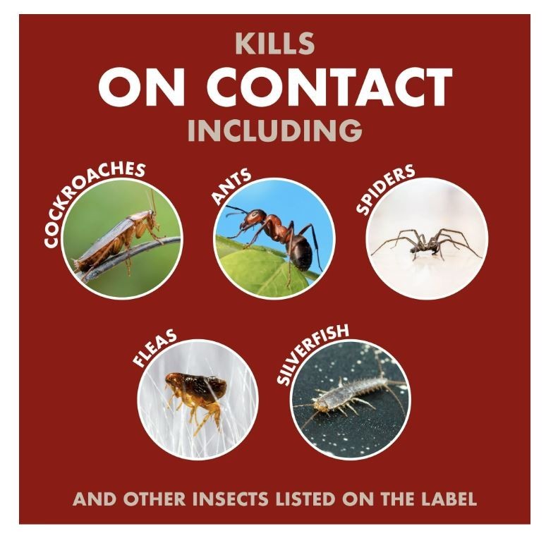 Bug Stop RTU Home Insect Control Pest Ants Roach Spiders Flea Killer US 1 gallon