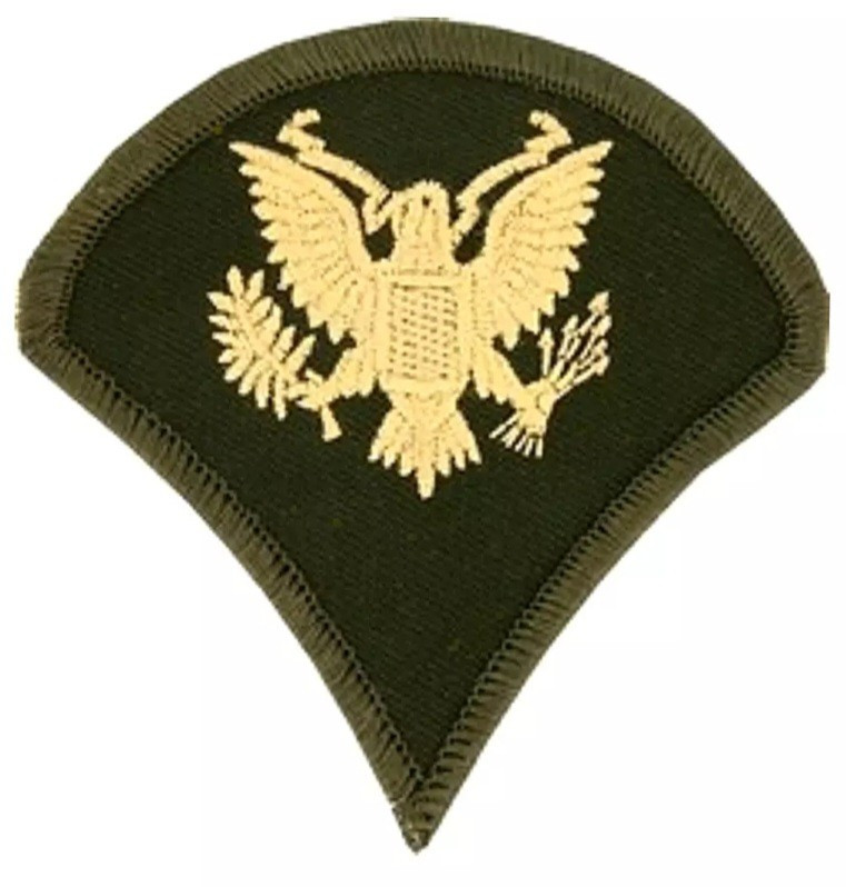 US ARMY SPECIALIST E-4 SPC SPC4 RANK PATCH ENLISTED DIRTY BIRD UNIFORM MILITARY