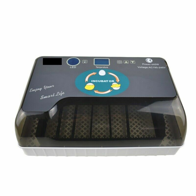 12 Eggs Mini Visual Egg Incubator Digital Egg Incubator w/Automatic Turning