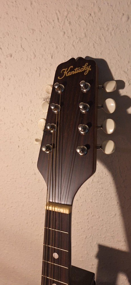 kentucky mandolin KM100