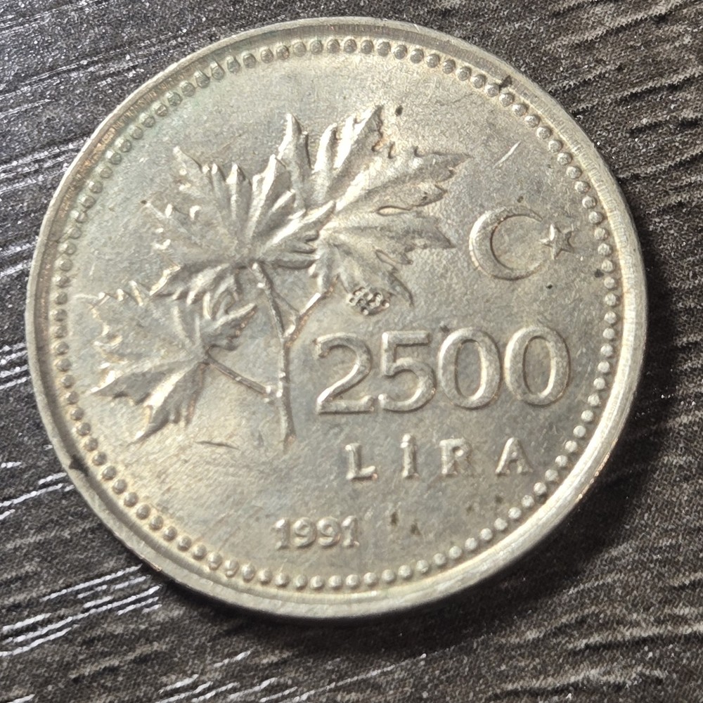 1991   Turkey 2500 Lira