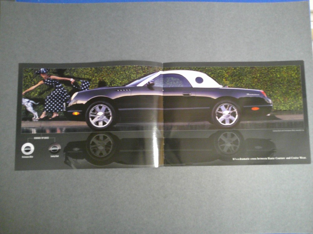 2002 Ford Thunderbird Sales Catalog