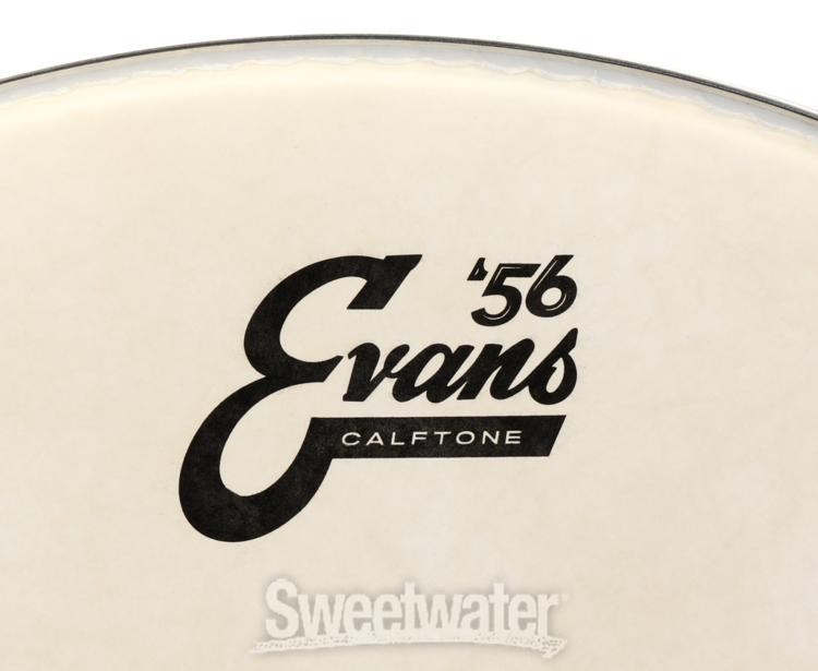 Evans Calftone Drumhead - 16"