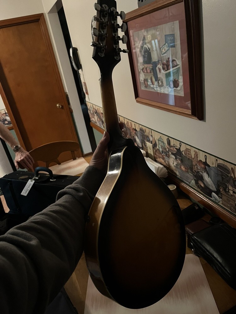 Rogue RM-100A Mandolin