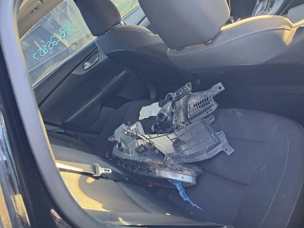 FORTE 2019 Glove Box 4904208