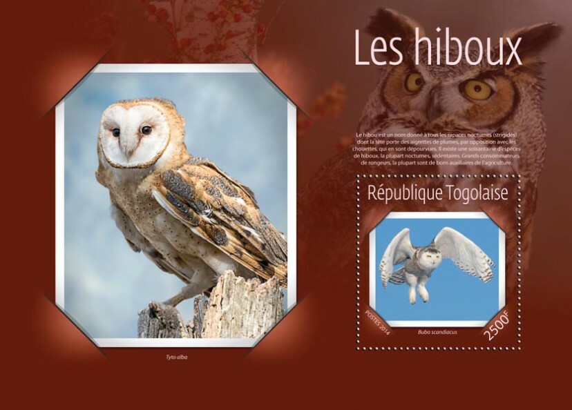 2014 TOGO MNH. OWLS    |  Y&T Code: 921  |  Michel Code: 6294 / Bl.1077