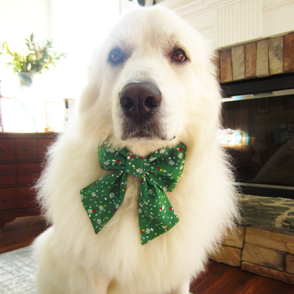 Lizard Pet Bow Tie or Sailor Bow-4 Sizes Available