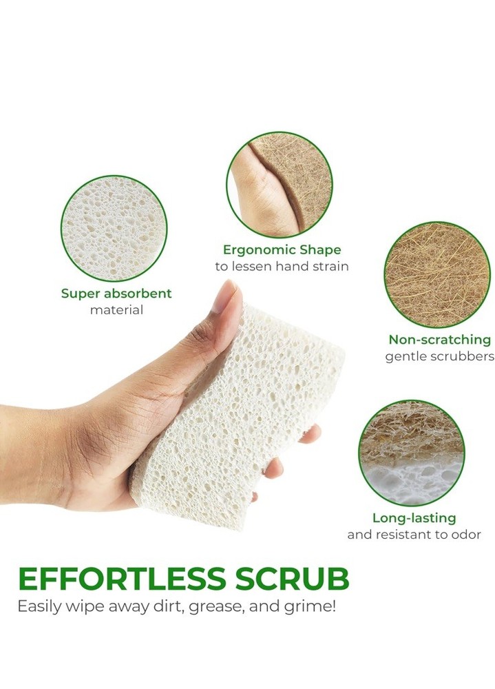 AIRNEX Natural Kitchen Sponge - Biodegradable Compostable 12 pack