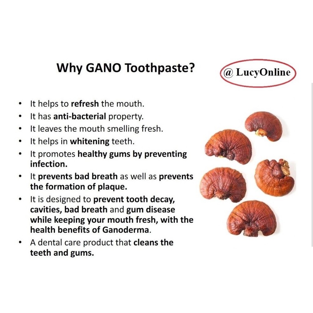4 Boxes x 150g GANO EXCEL GANO FRESH TOOTHPASTE GANODERMA Free Shipping