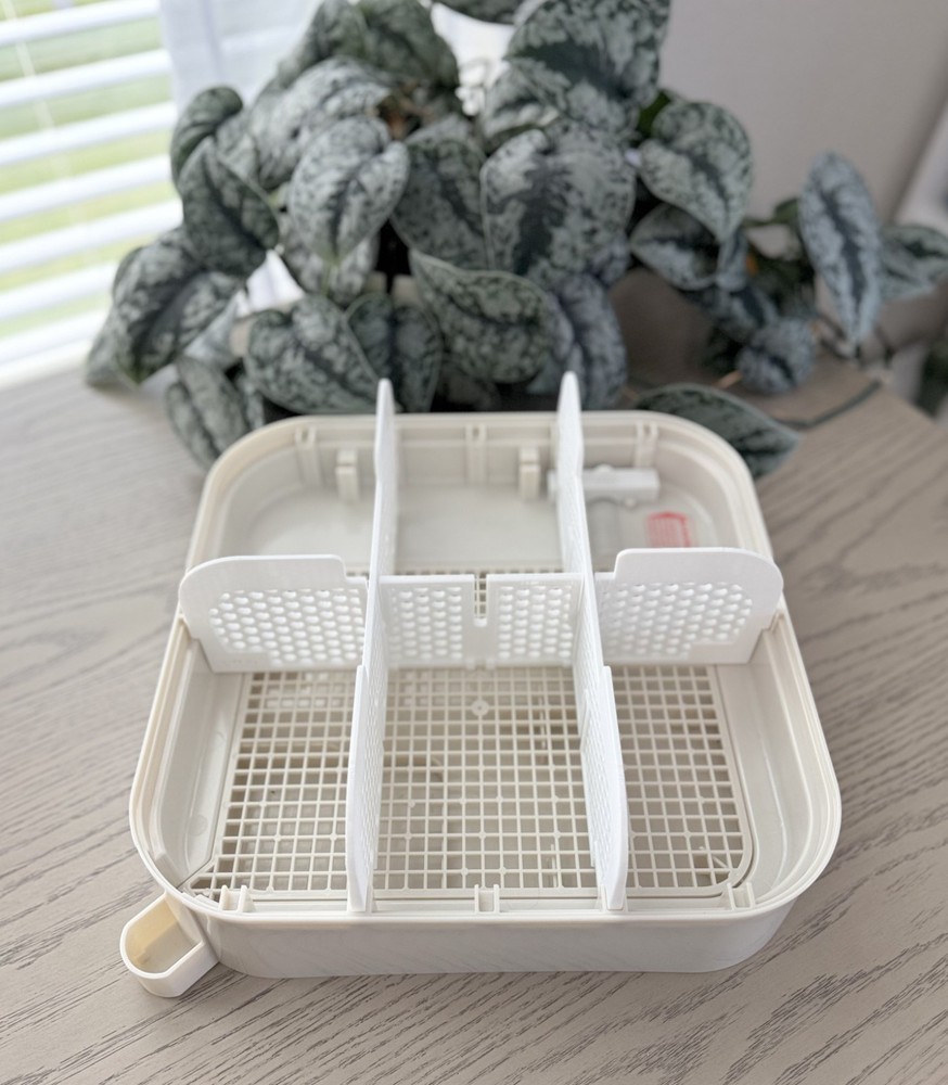 MATICOOPX INCUBATOR DIVIDER