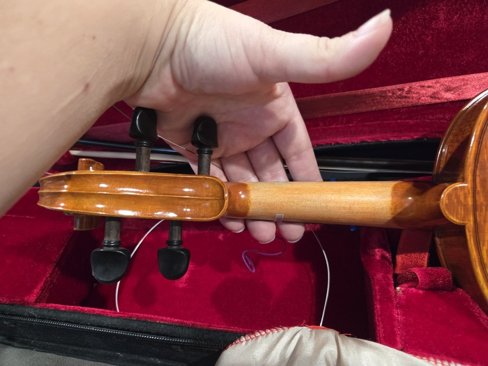 Viola Student Edition. - Needs New Strings