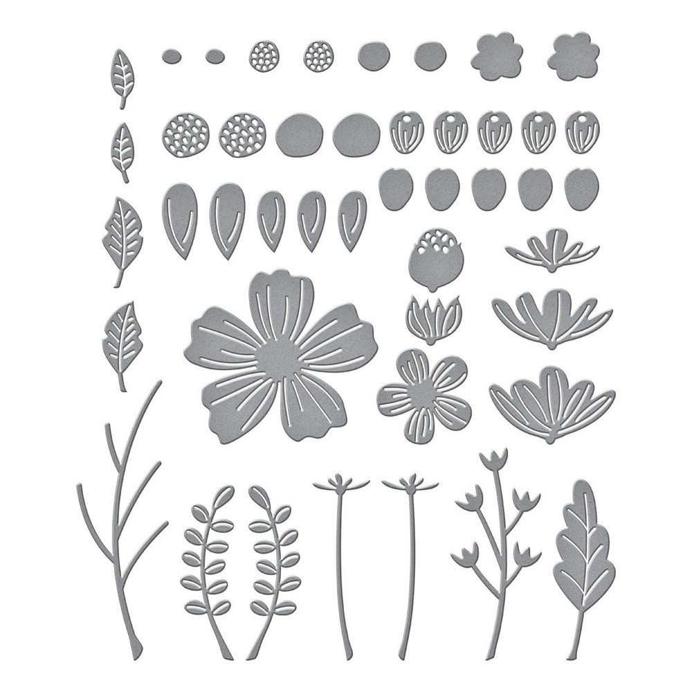Spellbinders Etched Dies-Be Bold Blooms